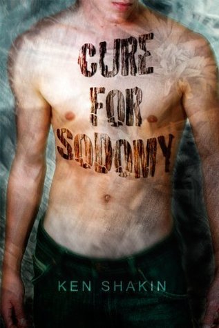 The Cure for Sodomy (Kindle Edition)