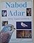 Nabod Adar: Drwy Lygad Camera