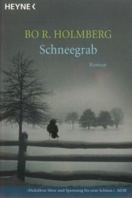 Schneegrab (Harald Morell, #2)