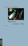 Weiher unter Eis