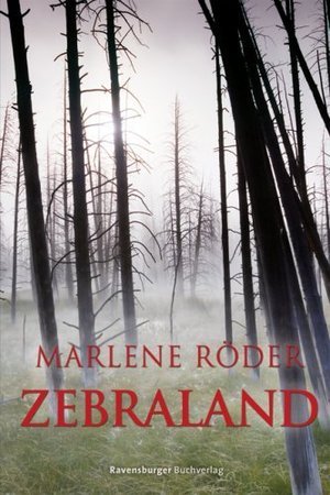 Zebraland (Hardcover)