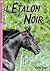 L'étalon noir by Walter Farley