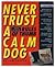 Never Trust a Calm Dog: And...