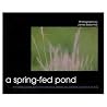 A Spring-Fed Pond...