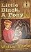 Little Black, A Pony by Walter Farley