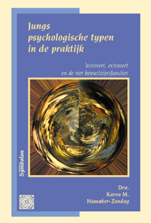 Jungs psychologische typen in de praktijk (Paperback)