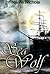 Sea Wolf (Historical Erotic Romance Time Travel)