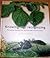 Knowing and Recognizing: The Biology of Glasshouse Pests and Their Natural Enemies