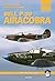 Bell P-39 Airacobra (Mushroom Model Publications, Yellow Series, #6106)