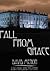 Fall from Grace by David Menon