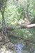 By The Pond