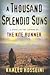 A Thousand Splendid Suns
