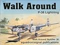 Lockheed P-38 Lightning - Walk Around No. 30