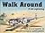 Lockheed P-38 Lightning - Walk Around No. 30