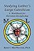 Studying Luther's Large Catechism: A Workbook for Christian Discipleship