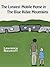 The Longest Mobile Home in the Blue Ridge Mountains by Lawrence Naumoff