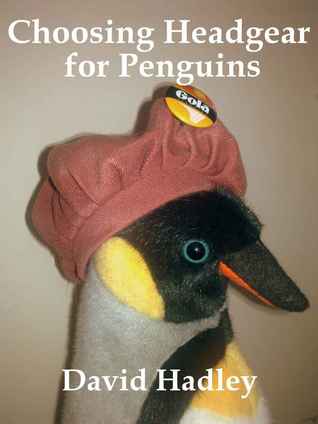 Choosing Headgear for Penguins