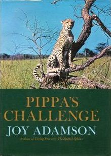 Pippa's Challenge