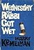 Wednesday the Rabbi Got Wet