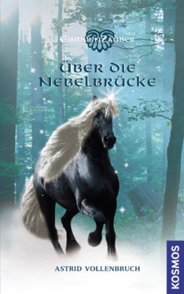 Über die Nebelbrücke (Einhornzauber, #1)
