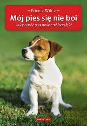 Mój pies się nie boi. Jak pomóc psu pokonać jego lęki.