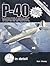 P-40 Warhawk in detail & scale, Part 1: Y1P-36 through P-40C - D&S Vol. 61