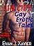 Sin City Gay Erotic Tales 5-Pack Bundle