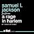 A Rage in Harlem (Harlem Cycle, #1)