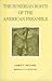 The Sumerian roots of the American preamble