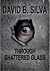 Through Shattered Glass