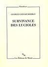 Survivance des lucioles
