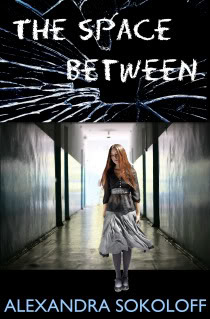 The Space Between (Kindle Edition)