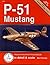P-51 Mustang Part1: In Detail & Sacale