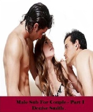 Male Sub for Couple Part 1 (Kindle Edition)
