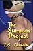 The Summer Project