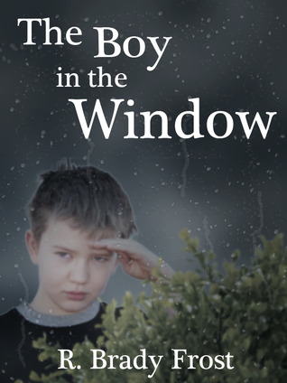 The Boy in the Window