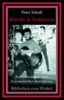 Besuche in Sackgassen: Aufzeichnungen eines homosexuellen Anarchisten (Paperback)
