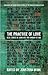 The Practice of Love by Jonathan Brink