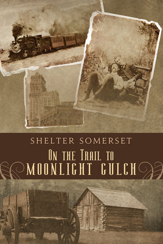 On the Trail to Moonlight Gulch (Paperback)