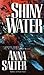 Shiny Water (Michael Stone, #1)