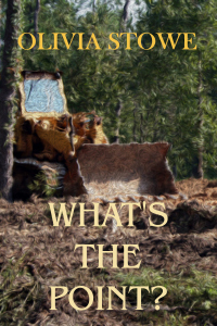 What's the Point? (Charlotte Diamond Mysteries, #5)