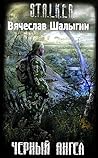 Черный Ангел (Андрей Лунев, #2)