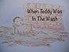 When Teddy Was In The Wash by David Jacks