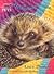 Hedgehog Home (Animal Ark Pets, #14)