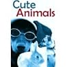 Cute Animals