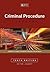 Criminal Procedure Handbook by J.J. Joubert