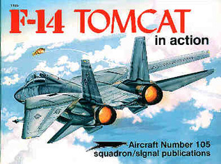 F-14 Tomcat in Action - Aircraft No. 105
