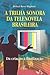 A Trilha Sonora da Telenovela Brasileira: Da Criação à Finalização