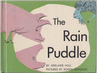 The Rain Puddle (Board book)