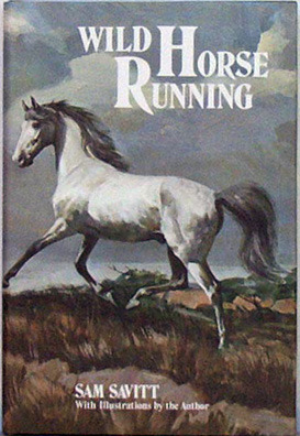 Wild horse running (Hardcover)